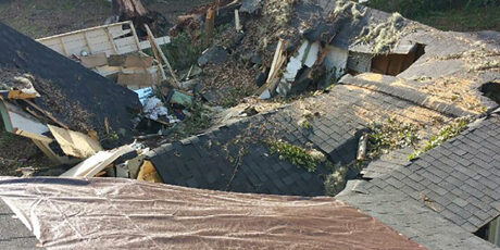 damage-from-tree-on-garage